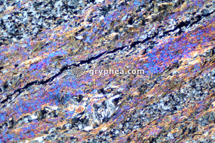 Micaschiste LPA x10 - gryphea.com